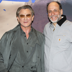 Cancelaci&oacute;n del Proyecto de Sgt. Rock con Luca Guadagnino y Colin Farrell