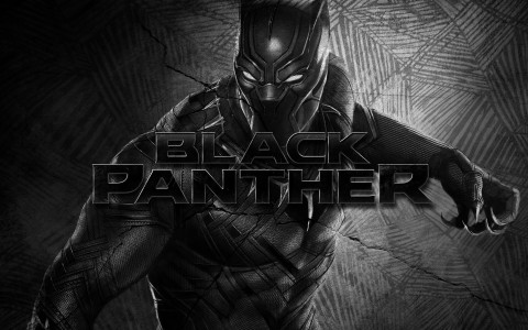 El futuro de Black Panther est&aacute; en juego&hellip; 